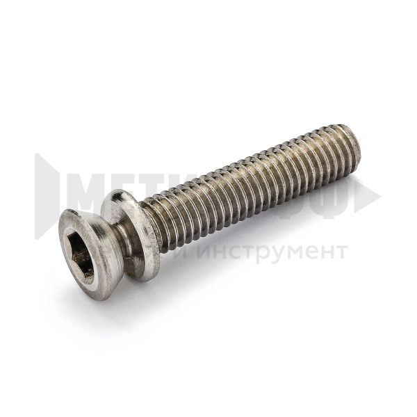 17352 Болт срывной 8 х 20  АРТ 9155 А2 НЕРЖ (10)