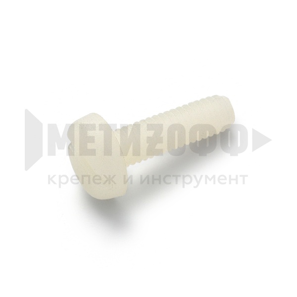 Винт с круг. гол. шлиц 3х 8 DIN 85 полиамид (20)